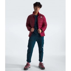 Men’s Terra Peak Jacket Beetroot