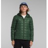 Men’s ThermoBall™ Eco Hoodie 2.0 Pine Needle