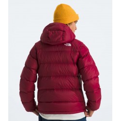 Men’s Hydrenalite™ Down Hoodie Beetroot