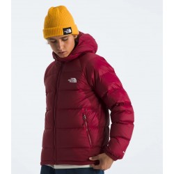 Men’s Hydrenalite™ Down Hoodie Beetroot