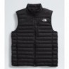 Men’s Terra Peak Vest