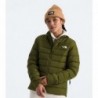 Women’s Aconcagua 3 Jacket Forest Olive