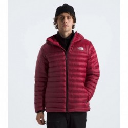 Men’s Terra Peak Hoodie Beetroot