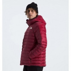 Men’s Terra Peak Hoodie Beetroot