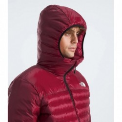 Men’s Terra Peak Hoodie Beetroot